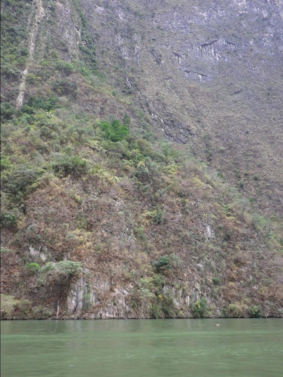 Sumidero Canyon near Tuxtla Gutierrez108